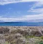 米兰体育在线-塔斯马尼亚联防线稳固，力拼蒙特雷全力拿分的简单介绍